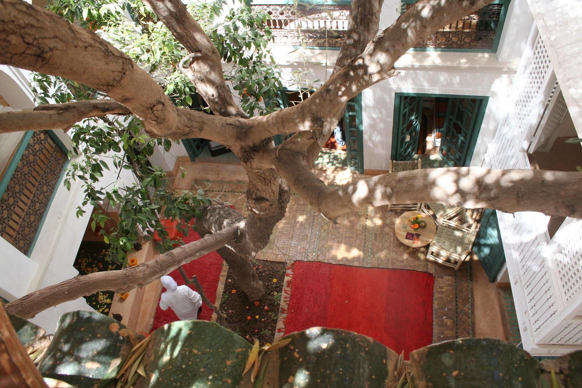 Riad Dar Zitouna En Exclusivite Marakeş Dış mekan fotoğraf